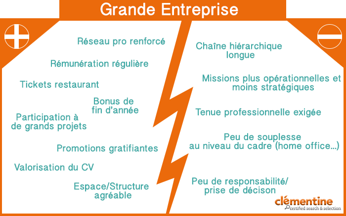 avantages inconvénients grande entreprise