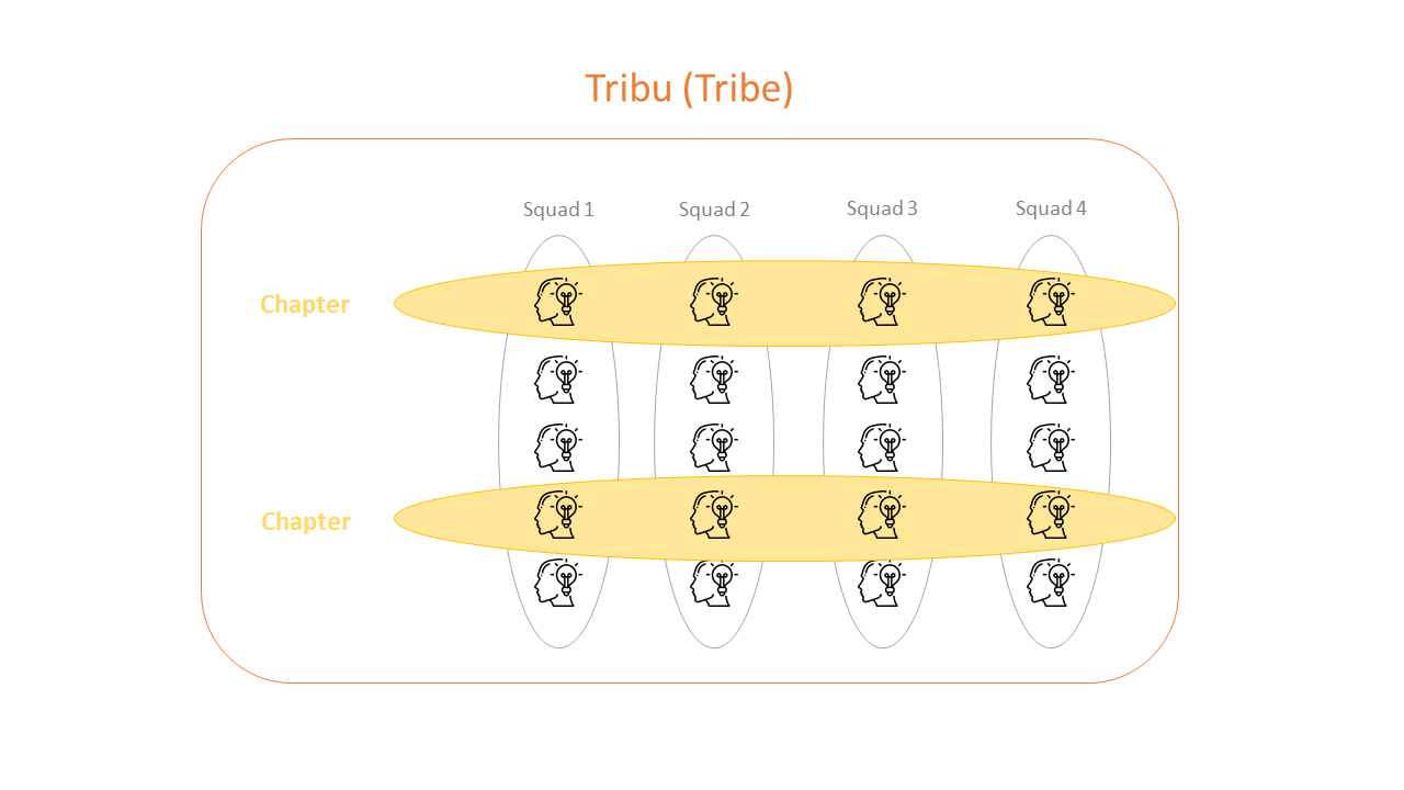 Infographie Squad Scrum Tribe Chapter