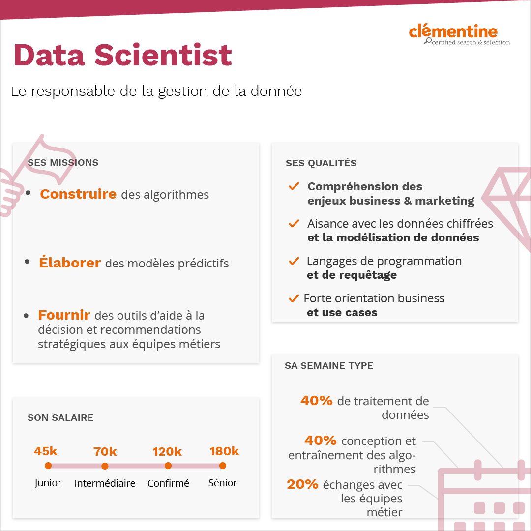 infographie Data Scientist